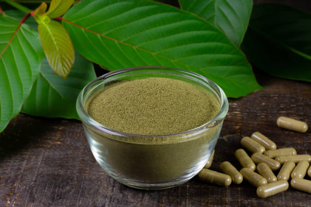 Trusted Kratom Vendors Known for Premium Products